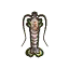 Crevette tigrée - Animal Crossing : New Leaf (3DS) [ACNL]